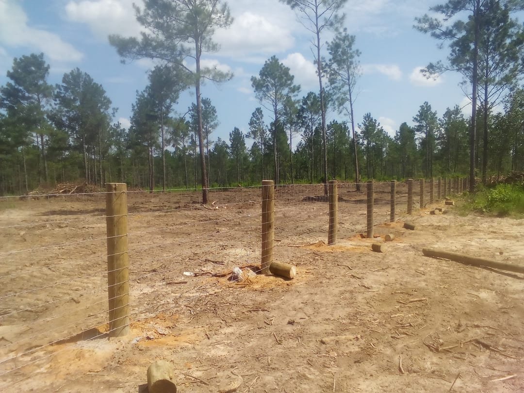 Field fence along a freshly cleared line