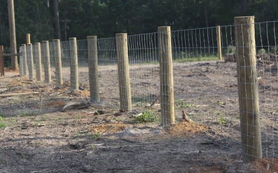 Woven wire field fence stretched along a cleared pasture line