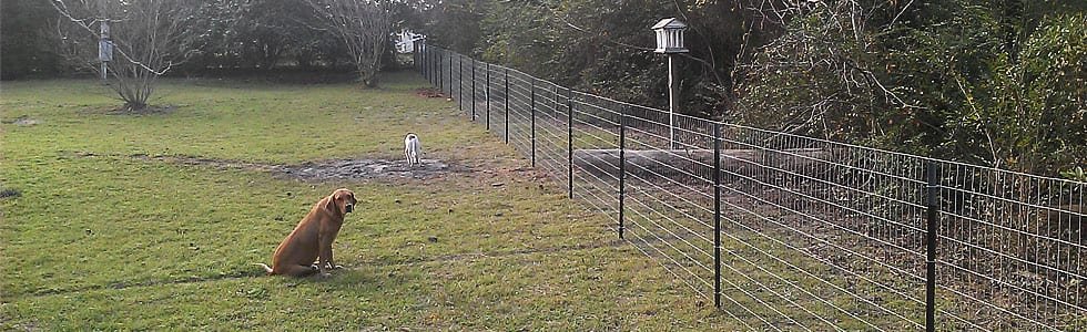 Field fence holding dogs on an acreage yard