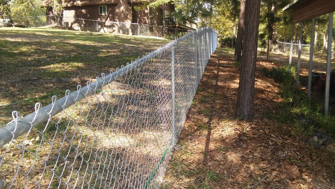 Chain link fence running through a wooded lot