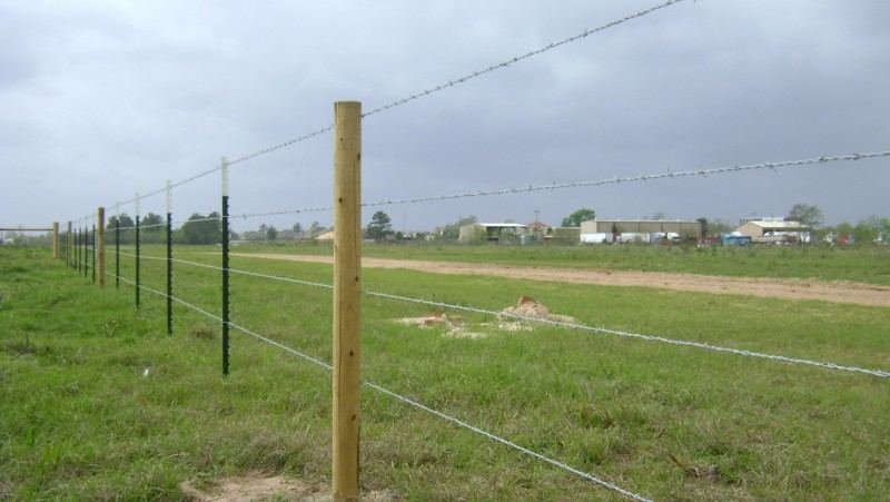 Barbed wire fence along an open agricultural field