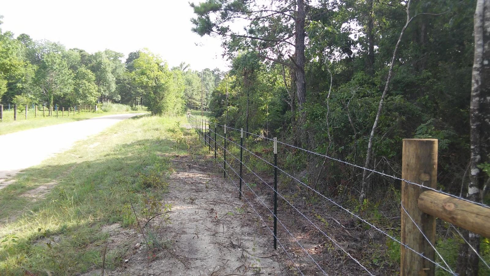 Newly installed barbed wire fence along a wooded property line