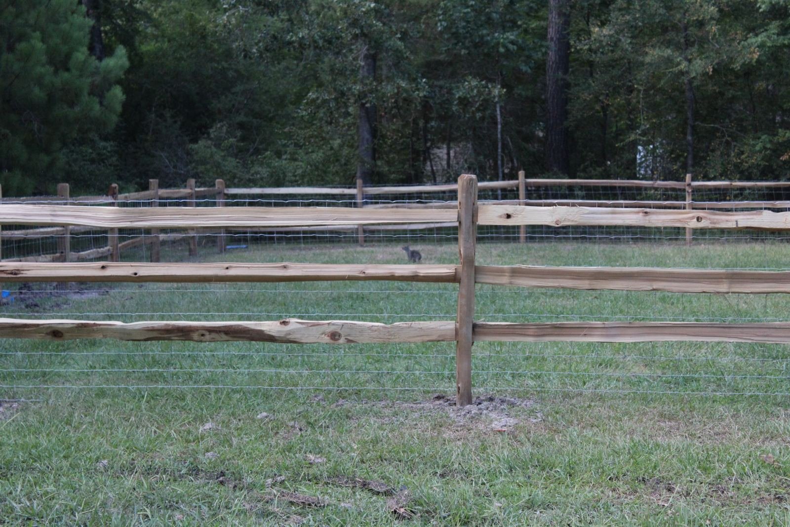 Split-rail and wire mesh pasture fence